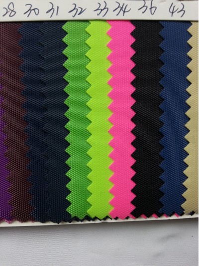 DG-BICG BC-4202 尼龍  背囊面料 細節-2